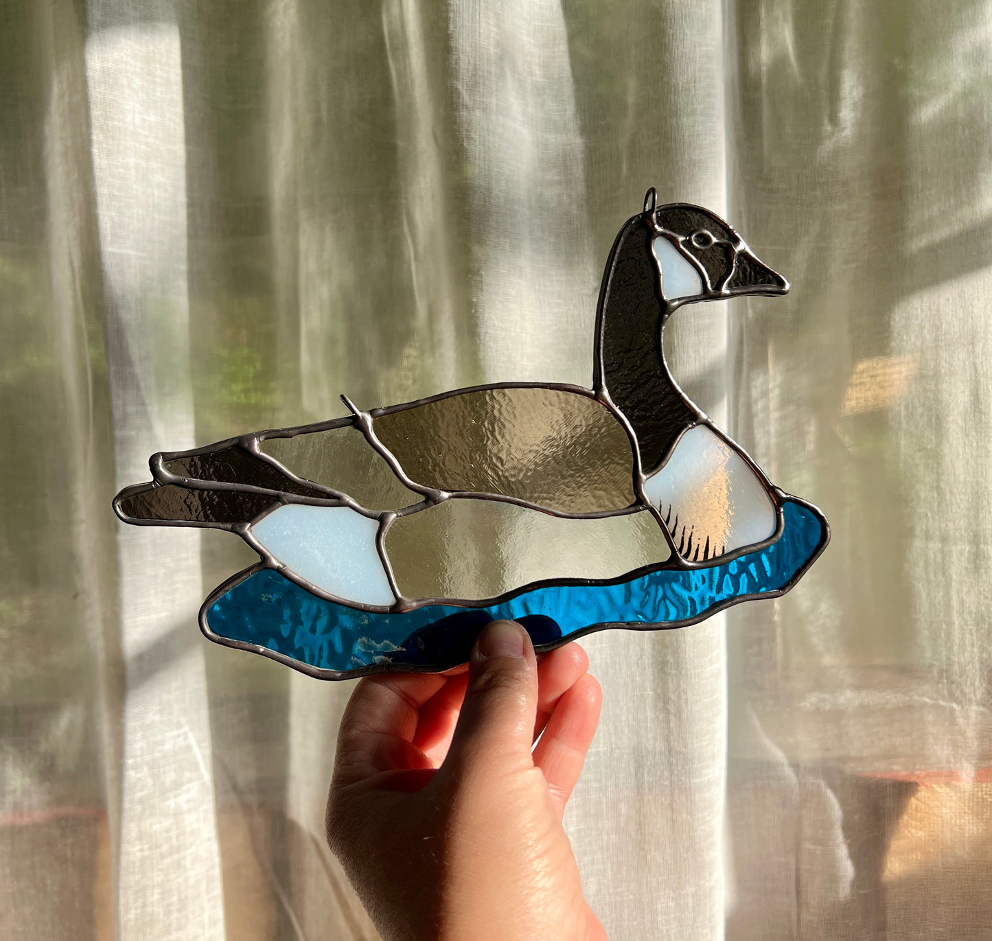 BIRDS! / Canada Goose