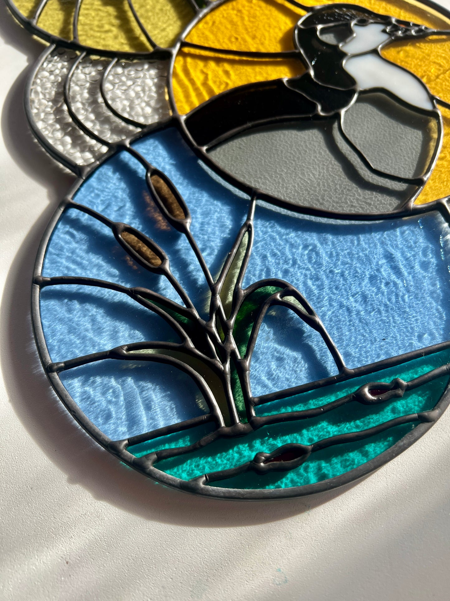 Coot Trichtype / RESERVED