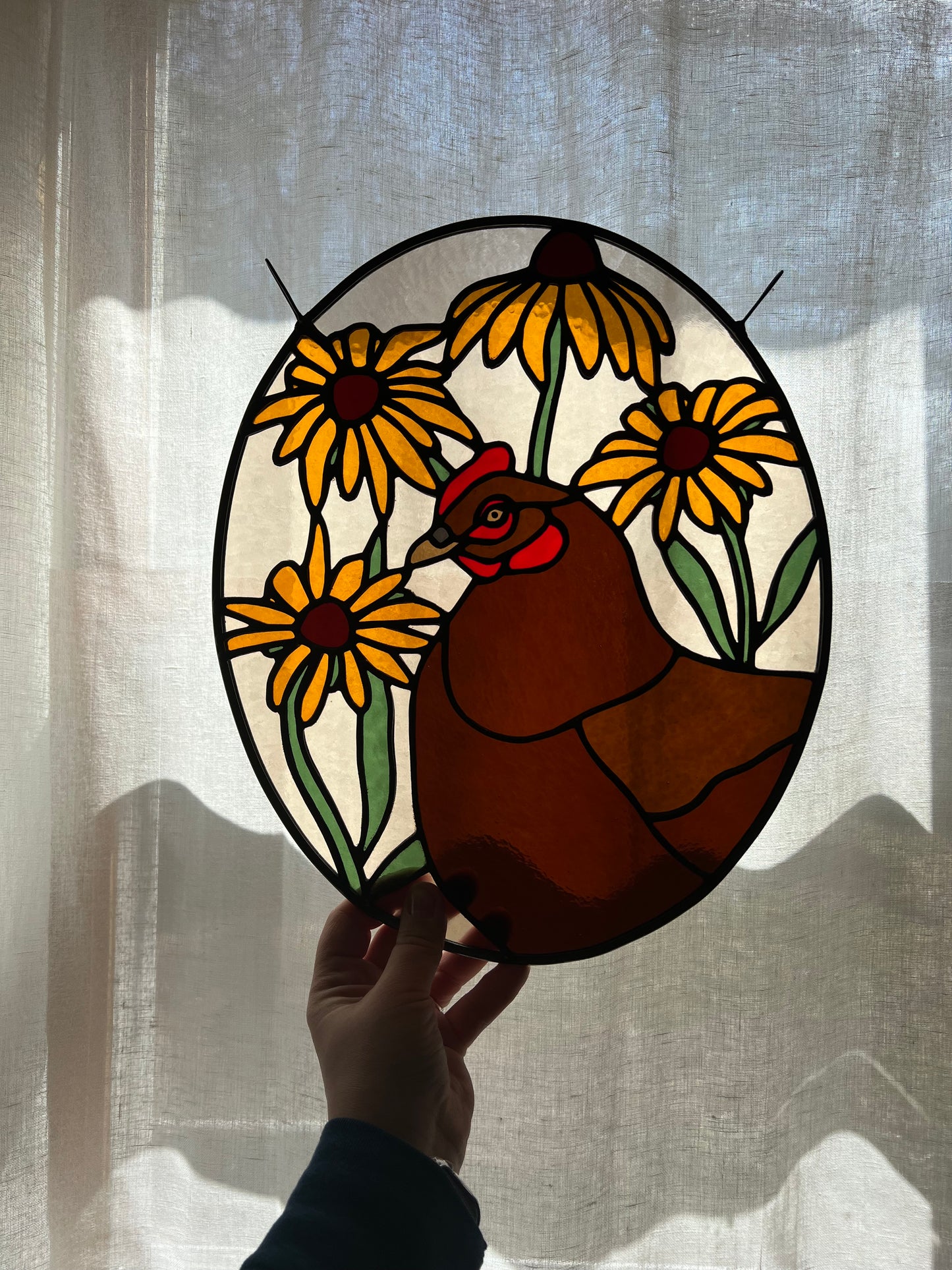 Black Eyed Susan Friend / Hen