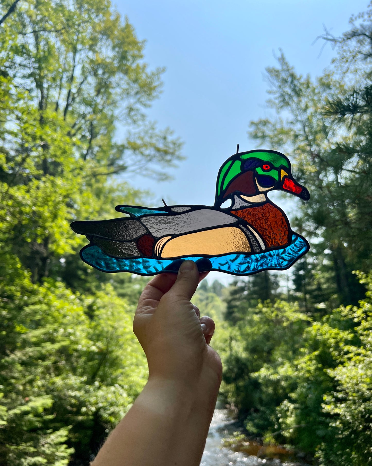 BIRDS! / Wood Duck