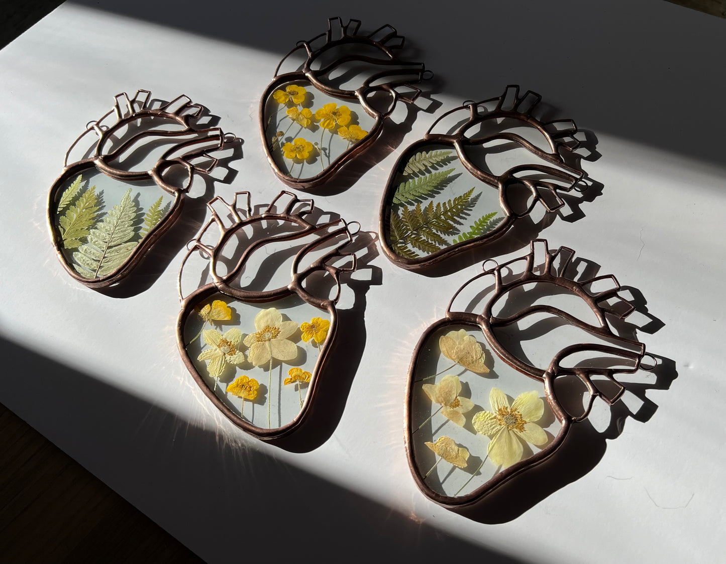 Botanical Anatomical Hearts - Medium