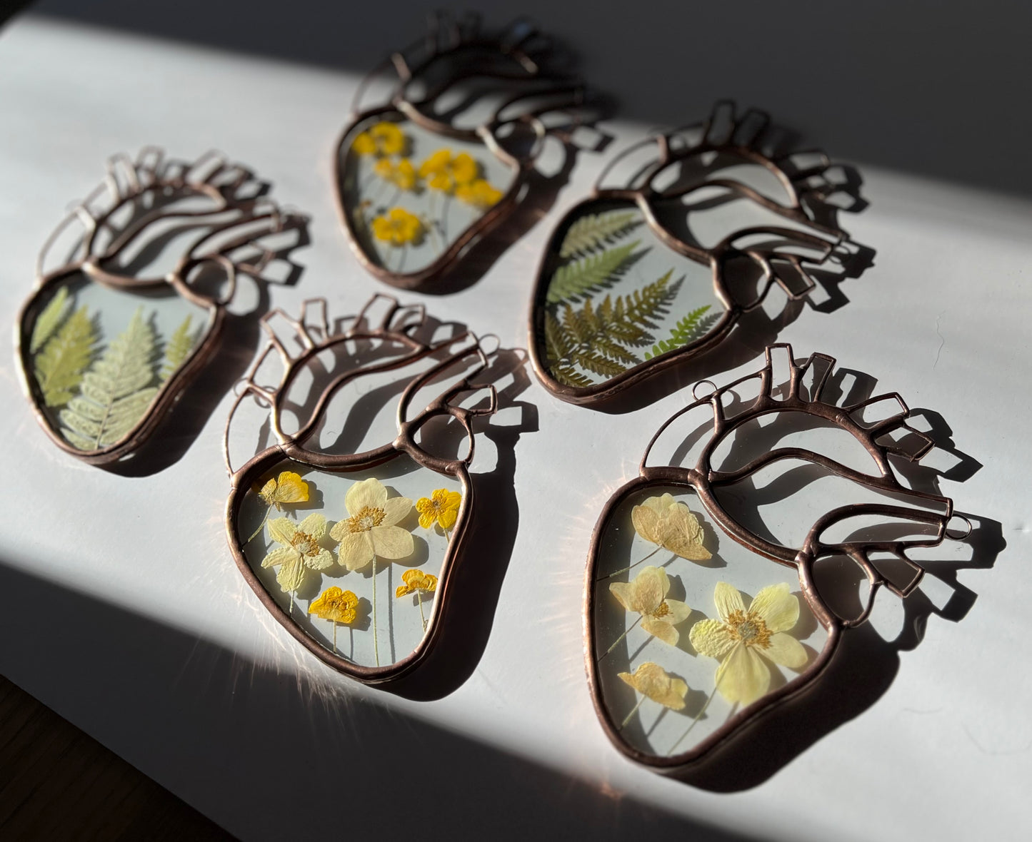Botanical Anatomical Hearts - Medium