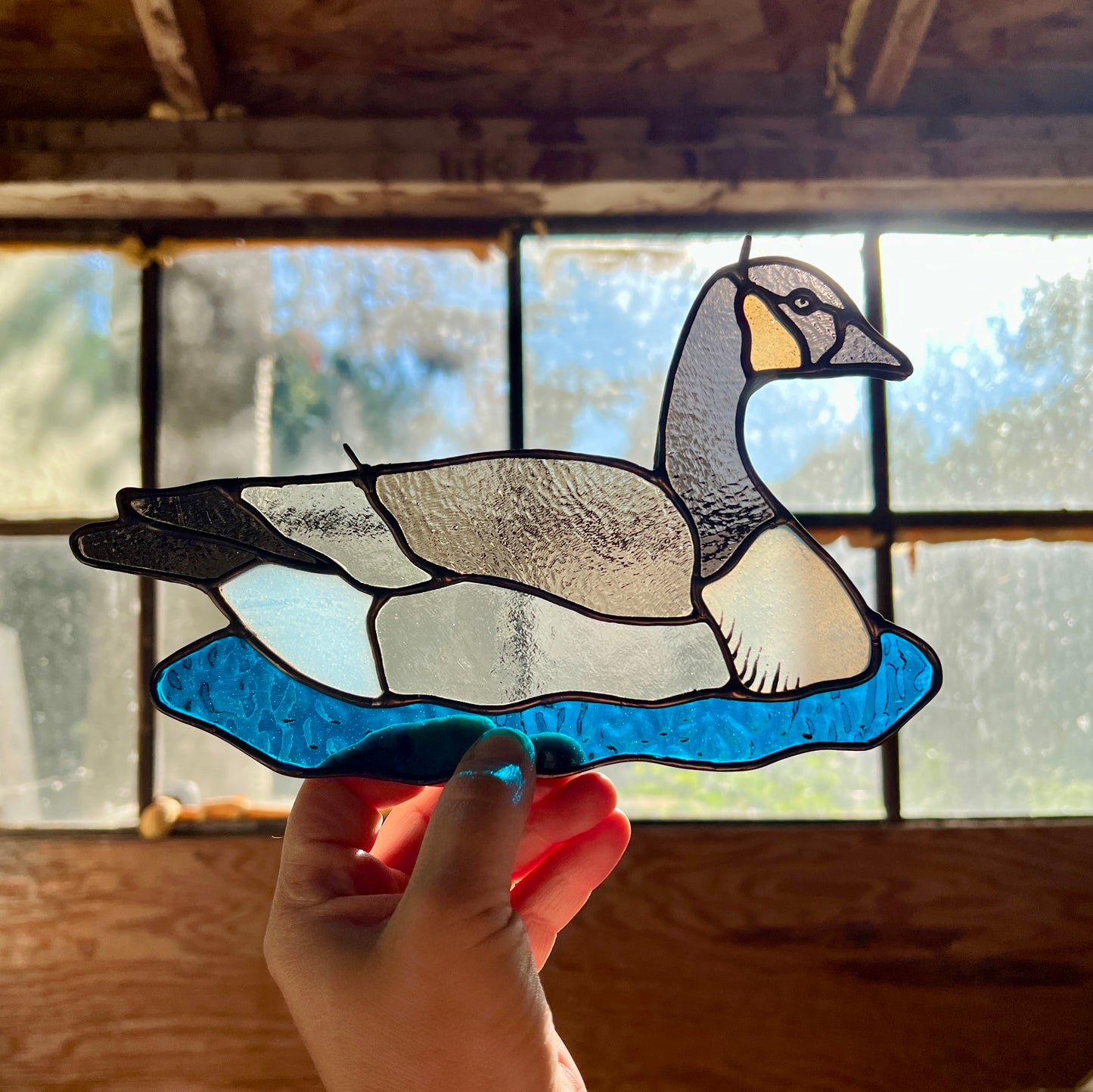 BIRDS! / Canada Goose