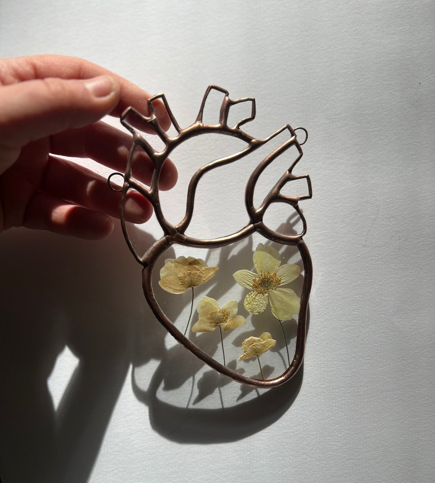 Botanical Anatomical Hearts - Medium