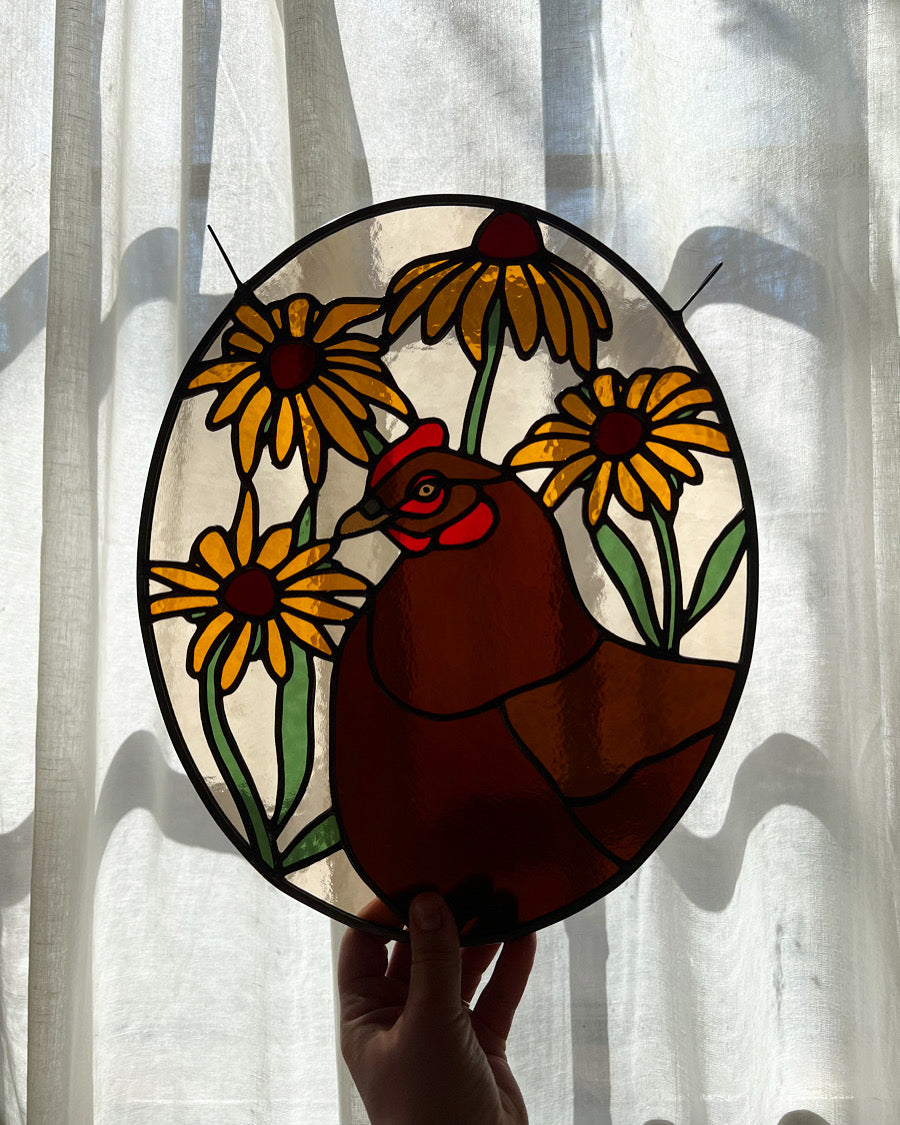 Black Eyed Susan Friend / Hen