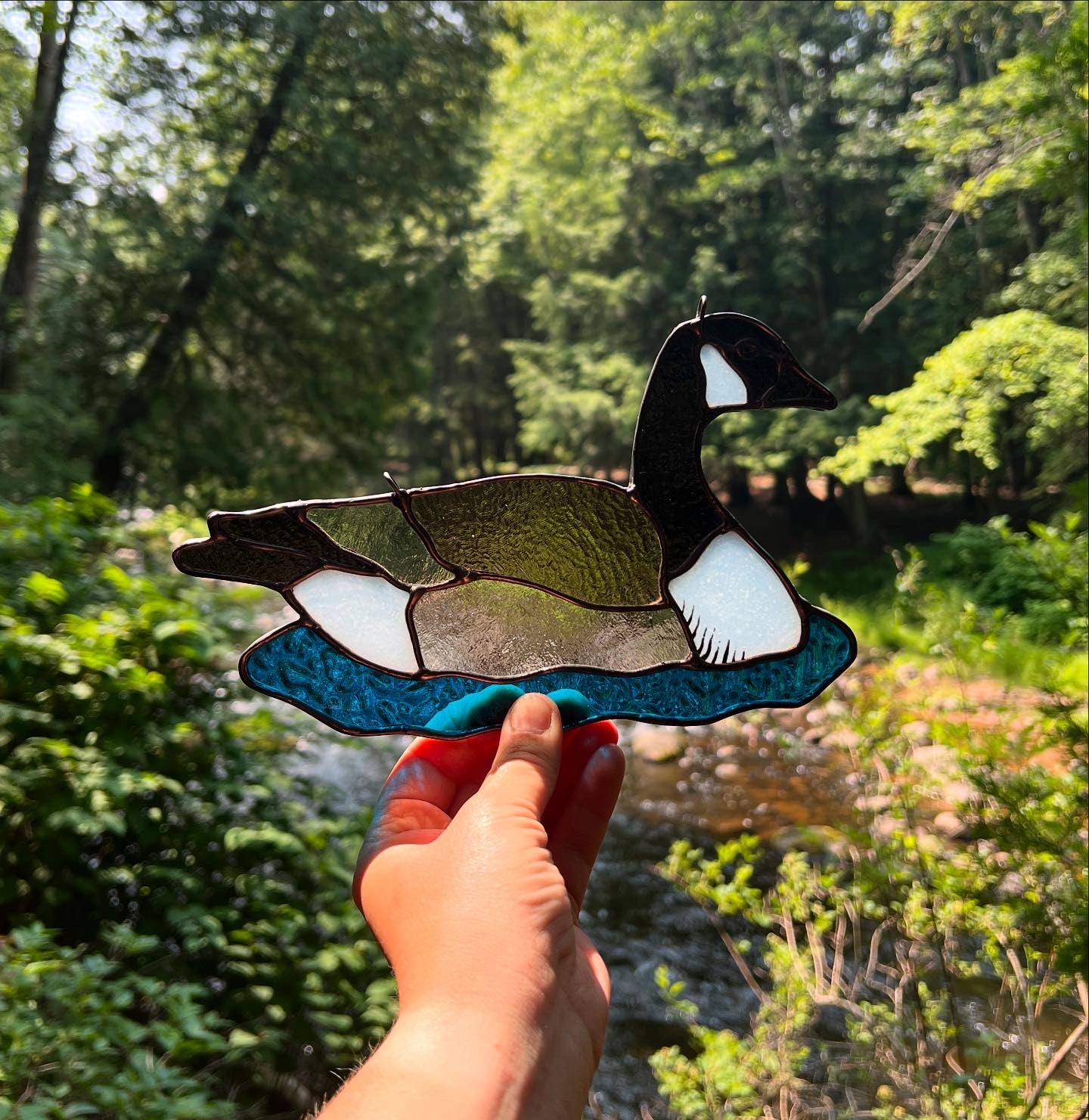 BIRDS! / Canada Goose