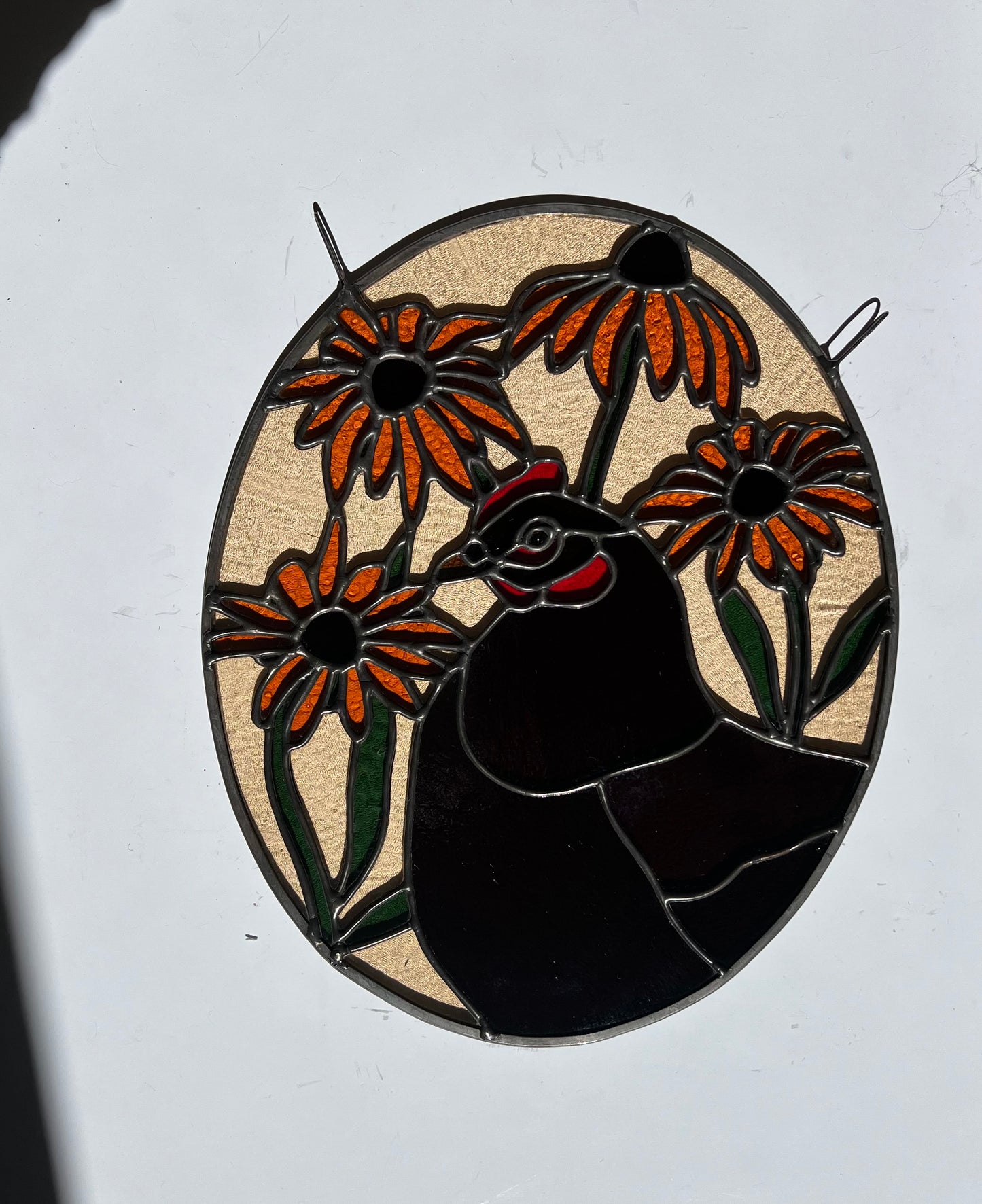 Black Eyed Susan Friend / Hen