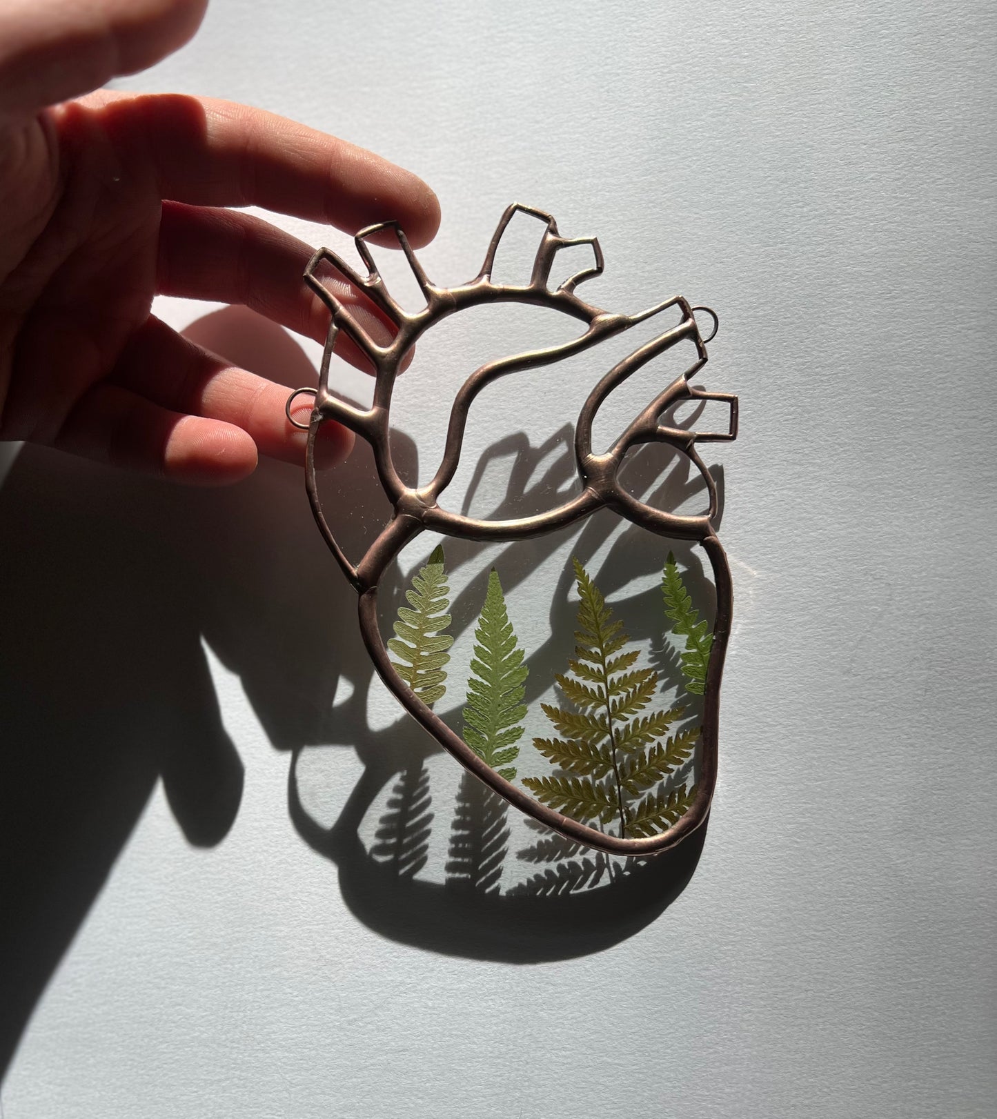 Botanical Anatomical Hearts - Medium