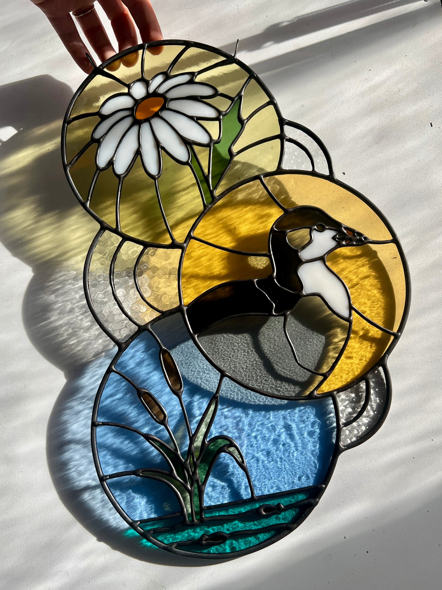 Coot Trichtype / RESERVED