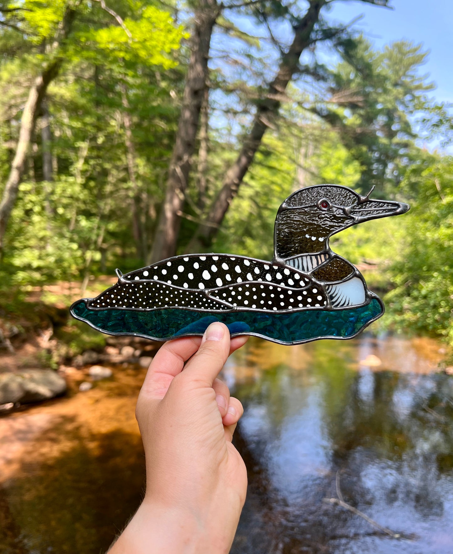BIRDS! / Common Loon / PREORDER