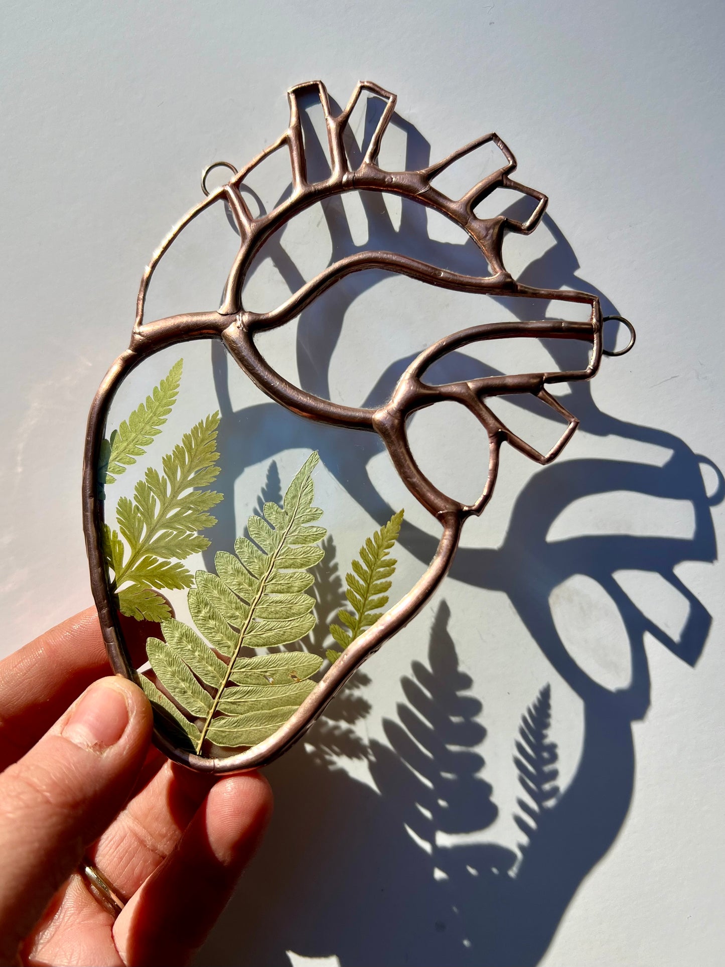 Botanical Anatomical Hearts - Medium