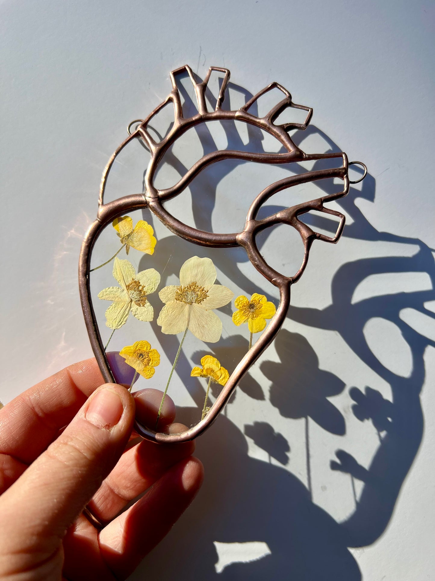 Botanical Anatomical Hearts - Medium