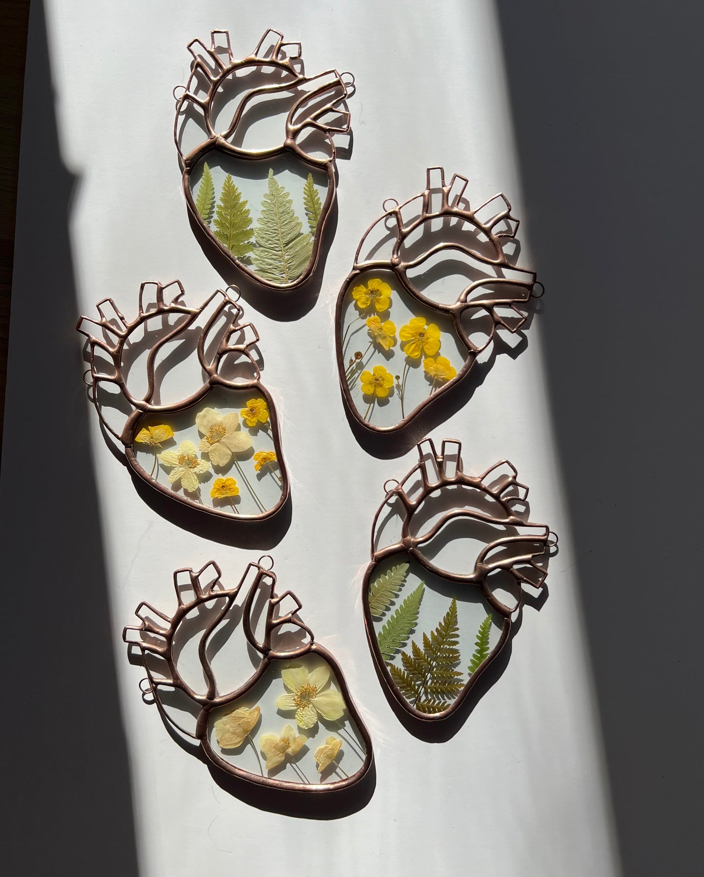 Botanical Anatomical Hearts - Medium