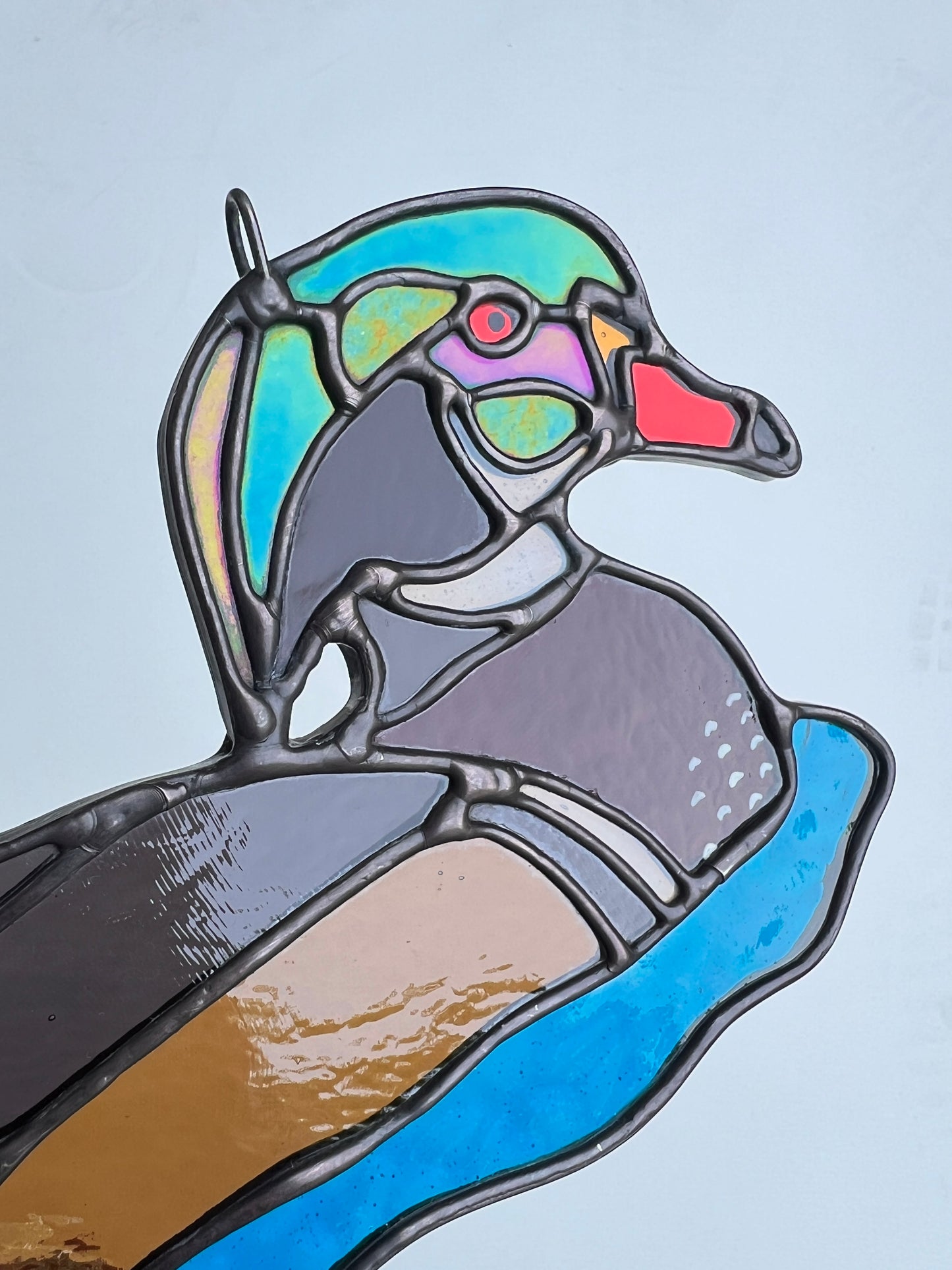 BIRDS! / Wood Duck