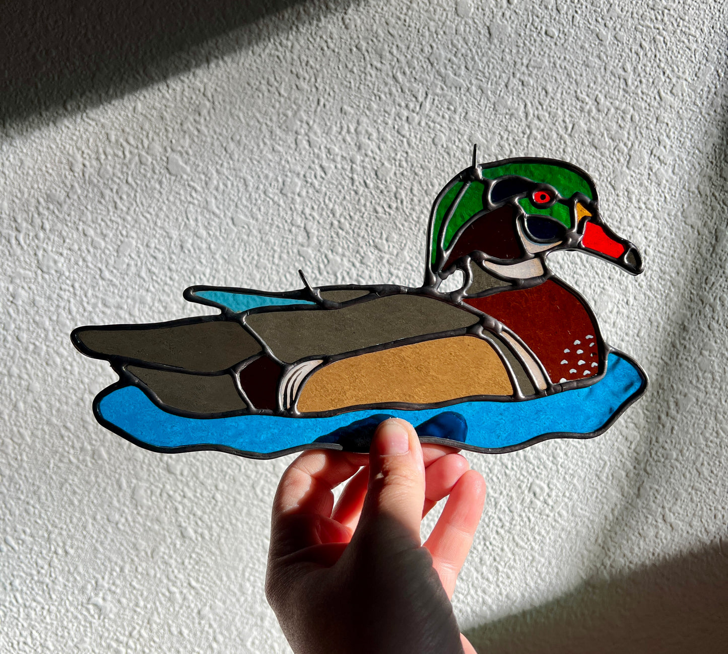 BIRDS! / Wood Duck
