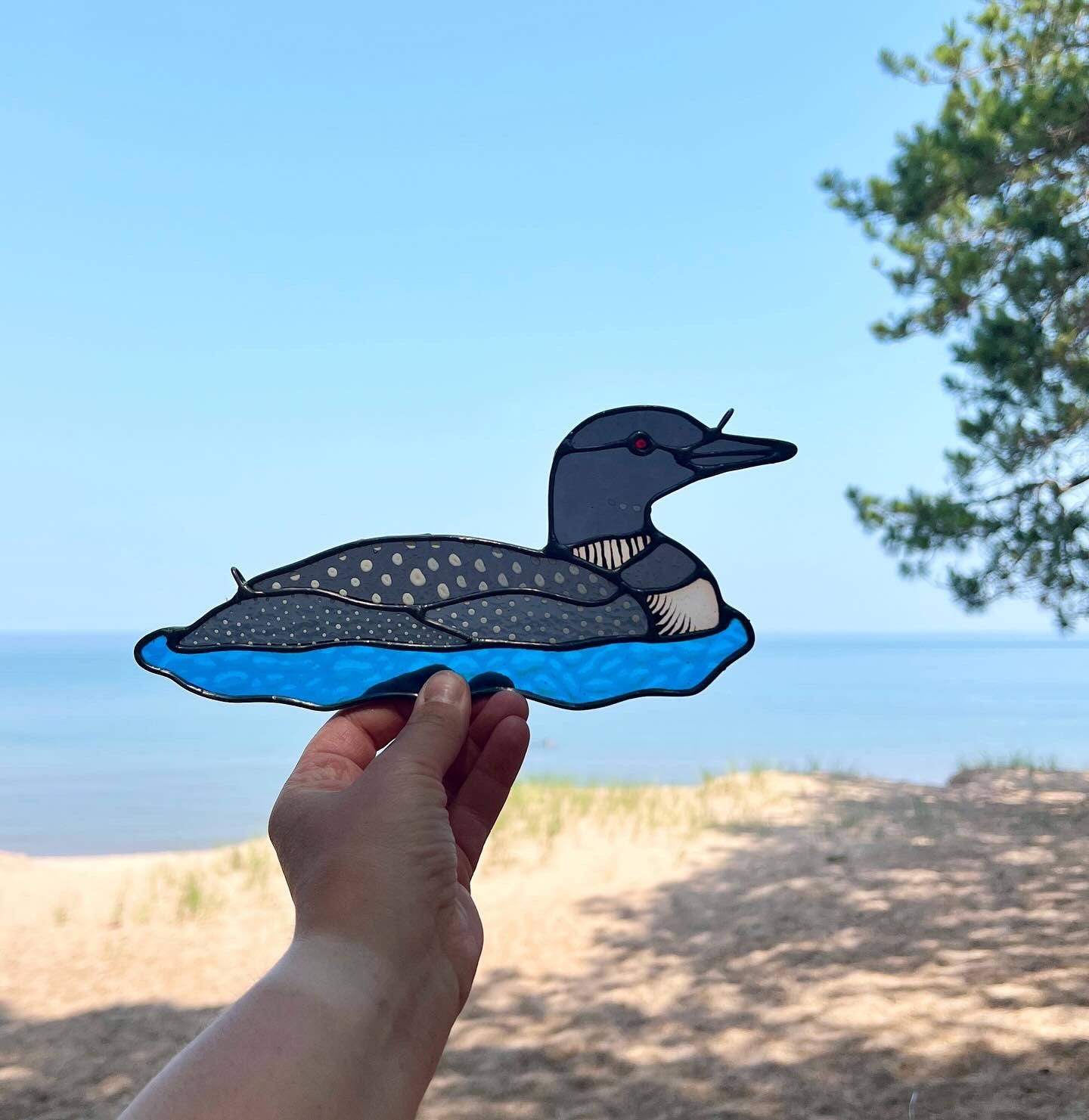 BIRDS! / Common Loon / PREORDER
