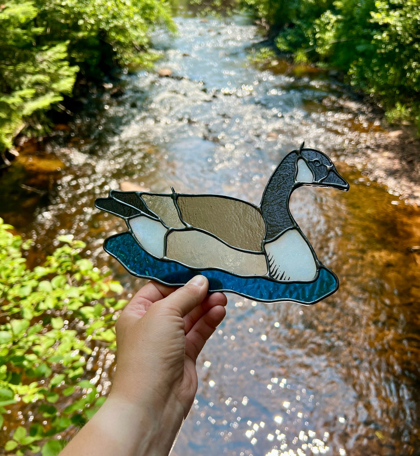 BIRDS! / Canada Goose