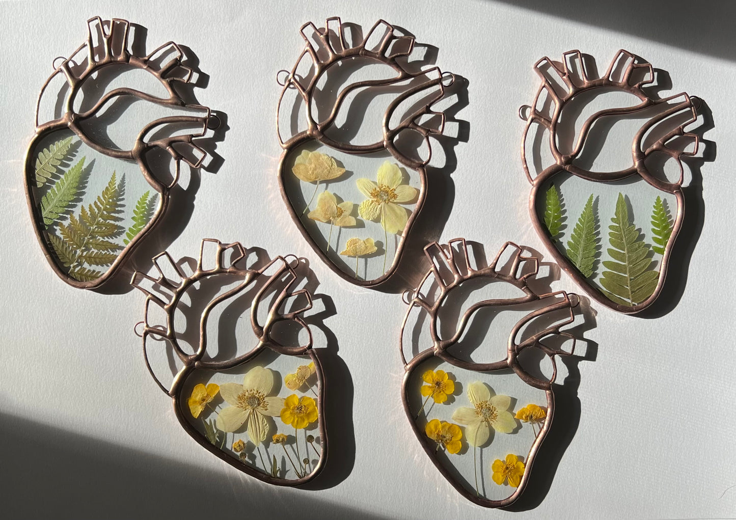 Botanical Anatomical Hearts - Medium