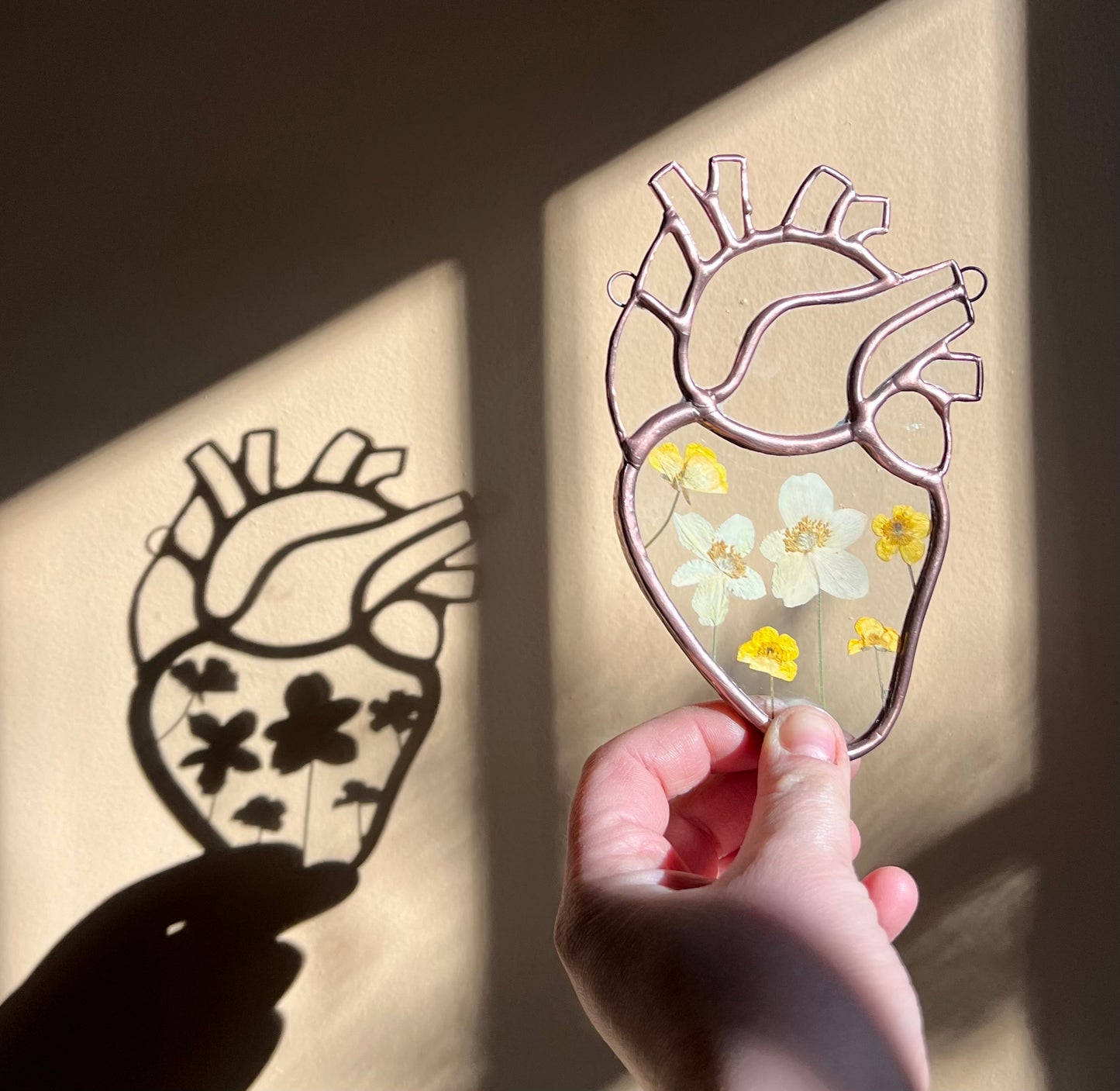 Botanical Anatomical Hearts - Medium