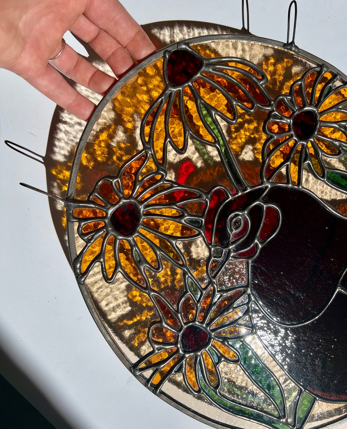 Black Eyed Susan Friend / Hen