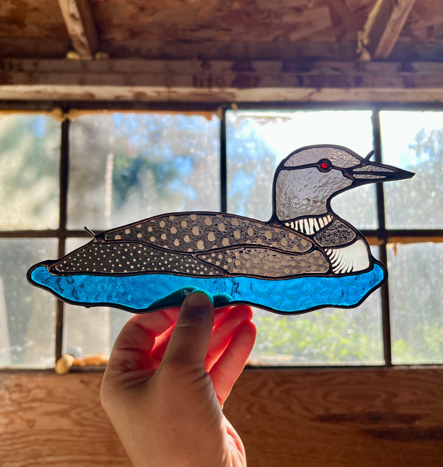BIRDS! / Common Loon / PREORDER