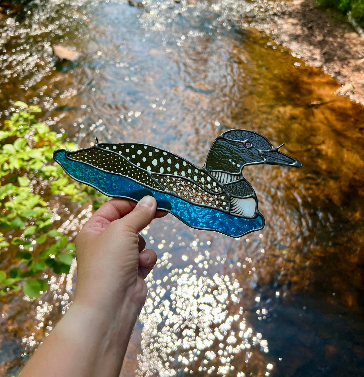 BIRDS! / Common Loon / PREORDER