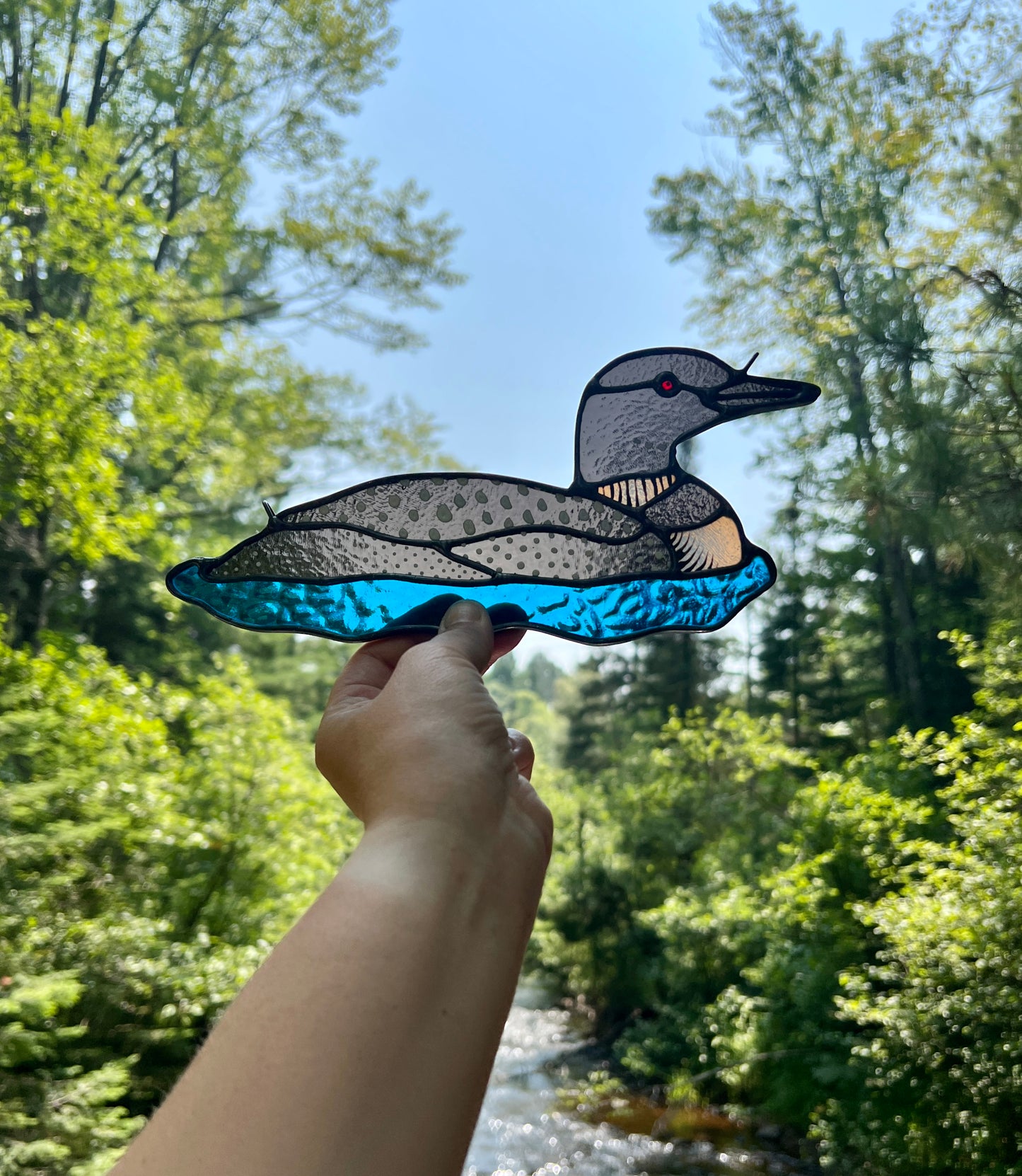 BIRDS! / Common Loon / PREORDER