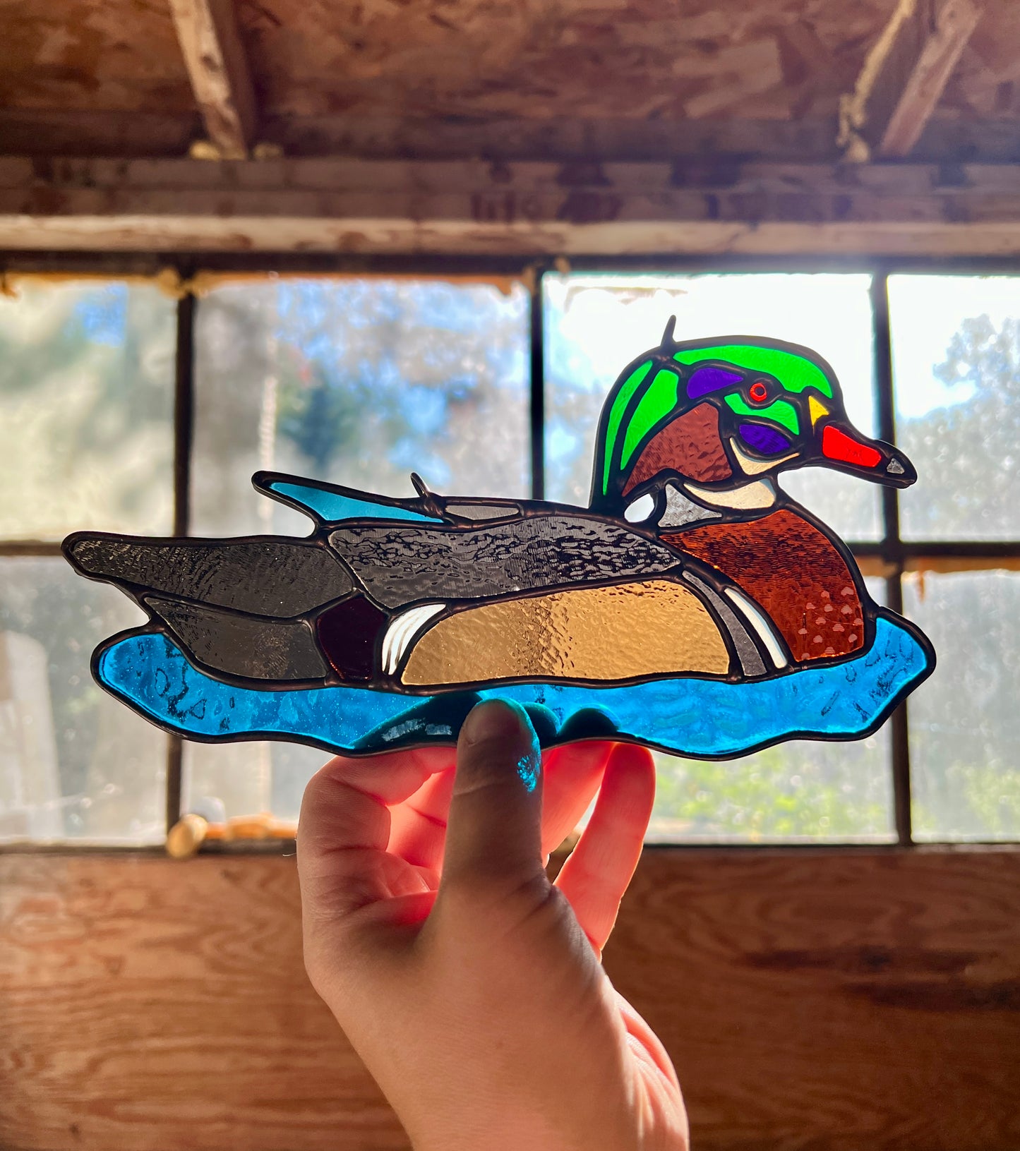 BIRDS! / Wood Duck