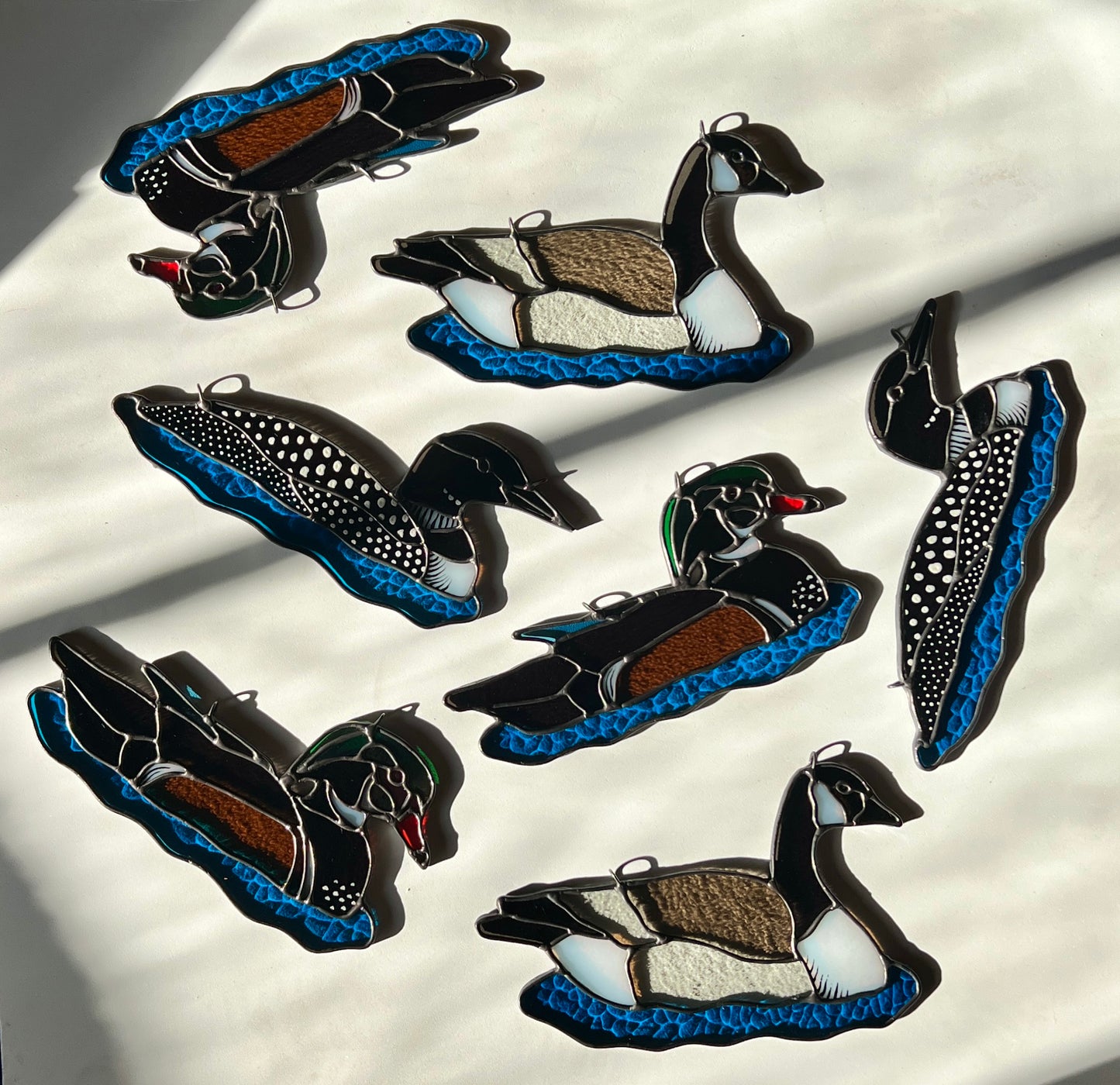 BIRDS! / Common Loon / PREORDER