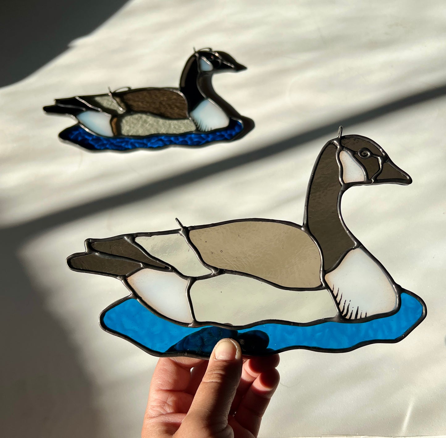 BIRDS! / Canada Goose