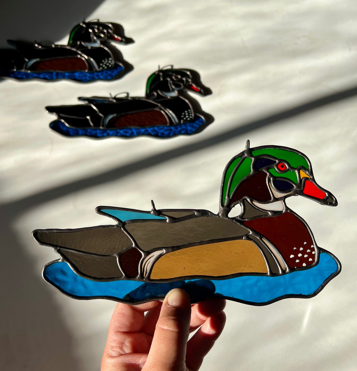 BIRDS! / Wood Duck