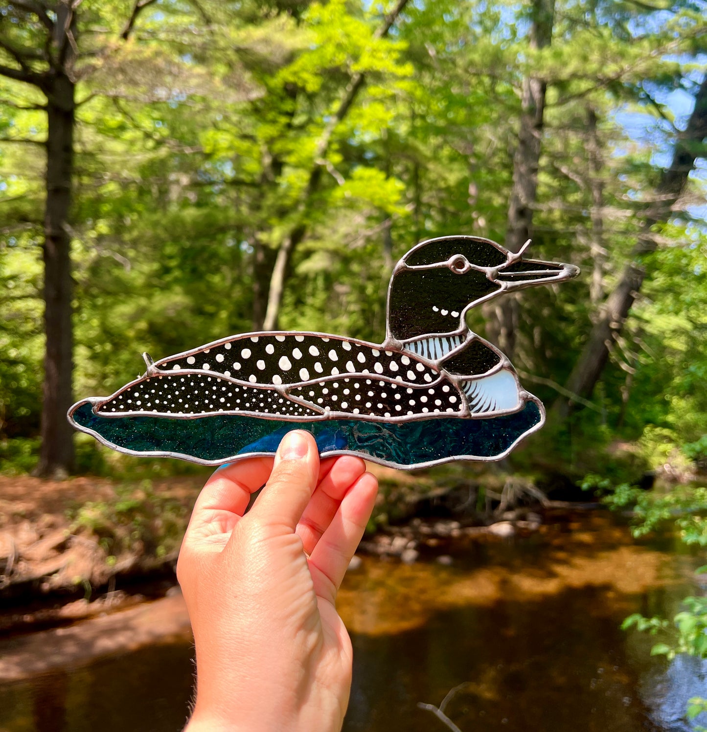 BIRDS! / Common Loon / PREORDER