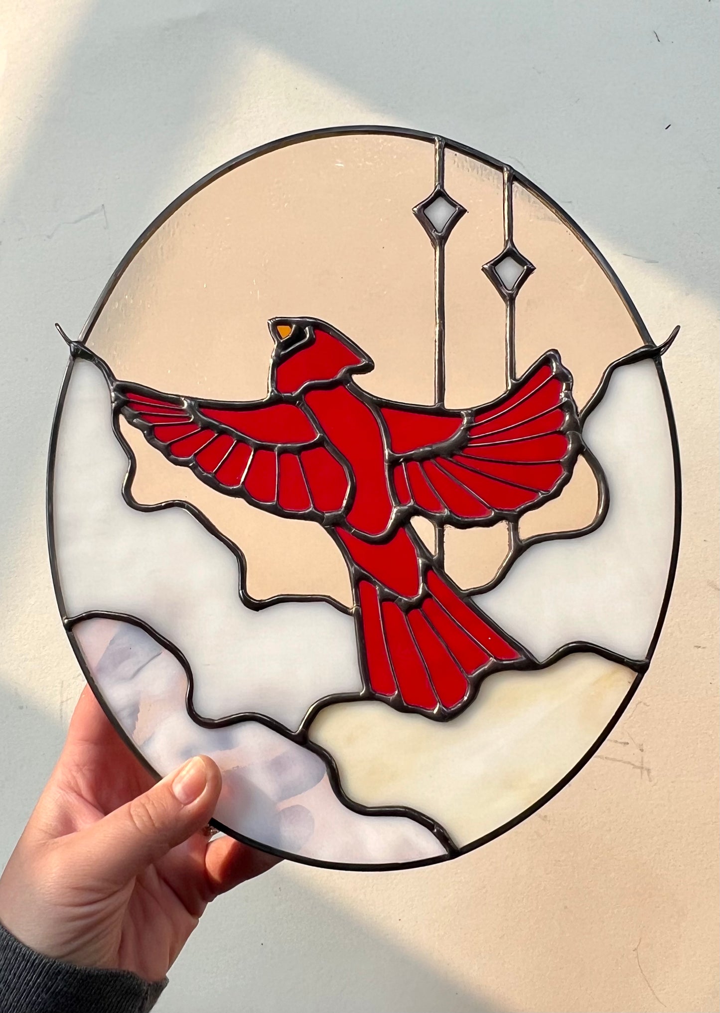 RESERVED / Cardinal in the Clouds