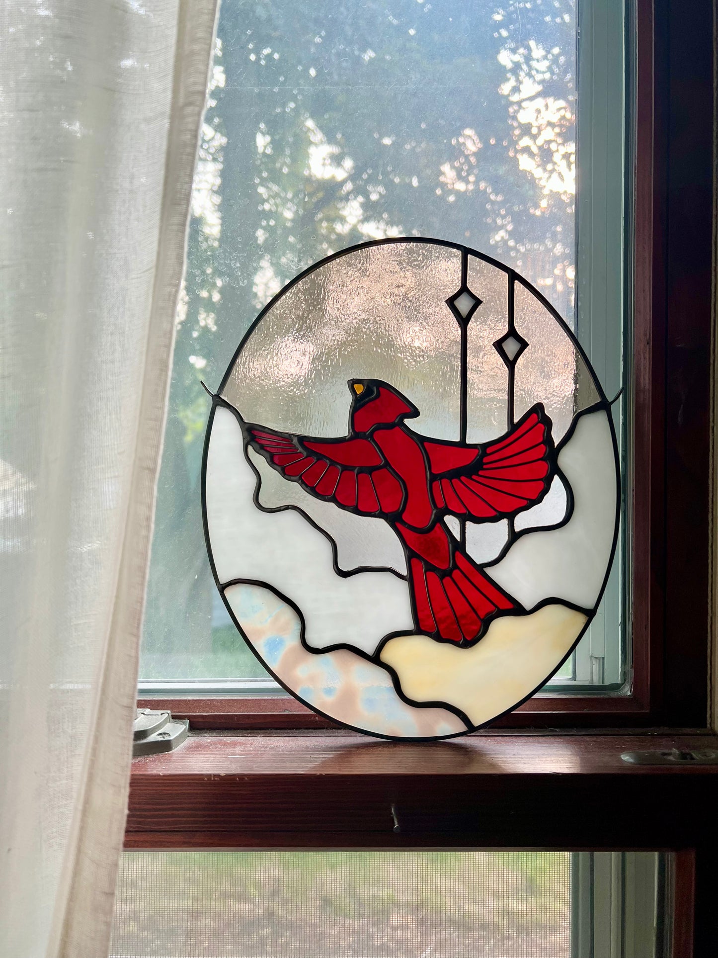 RESERVED / Cardinal in the Clouds