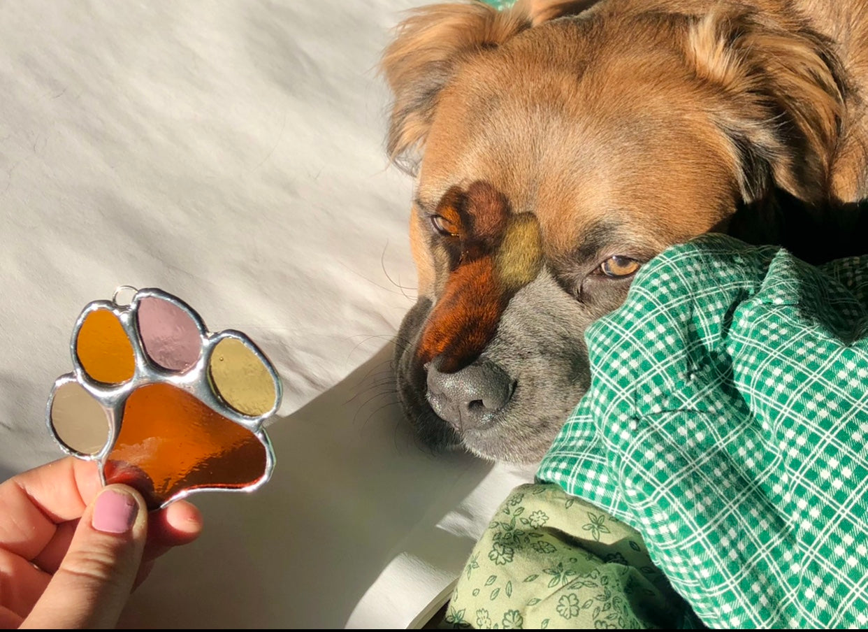 Paws for Teddy / PREORDER