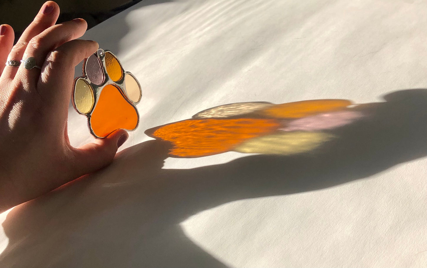 Paws for Teddy / PREORDER