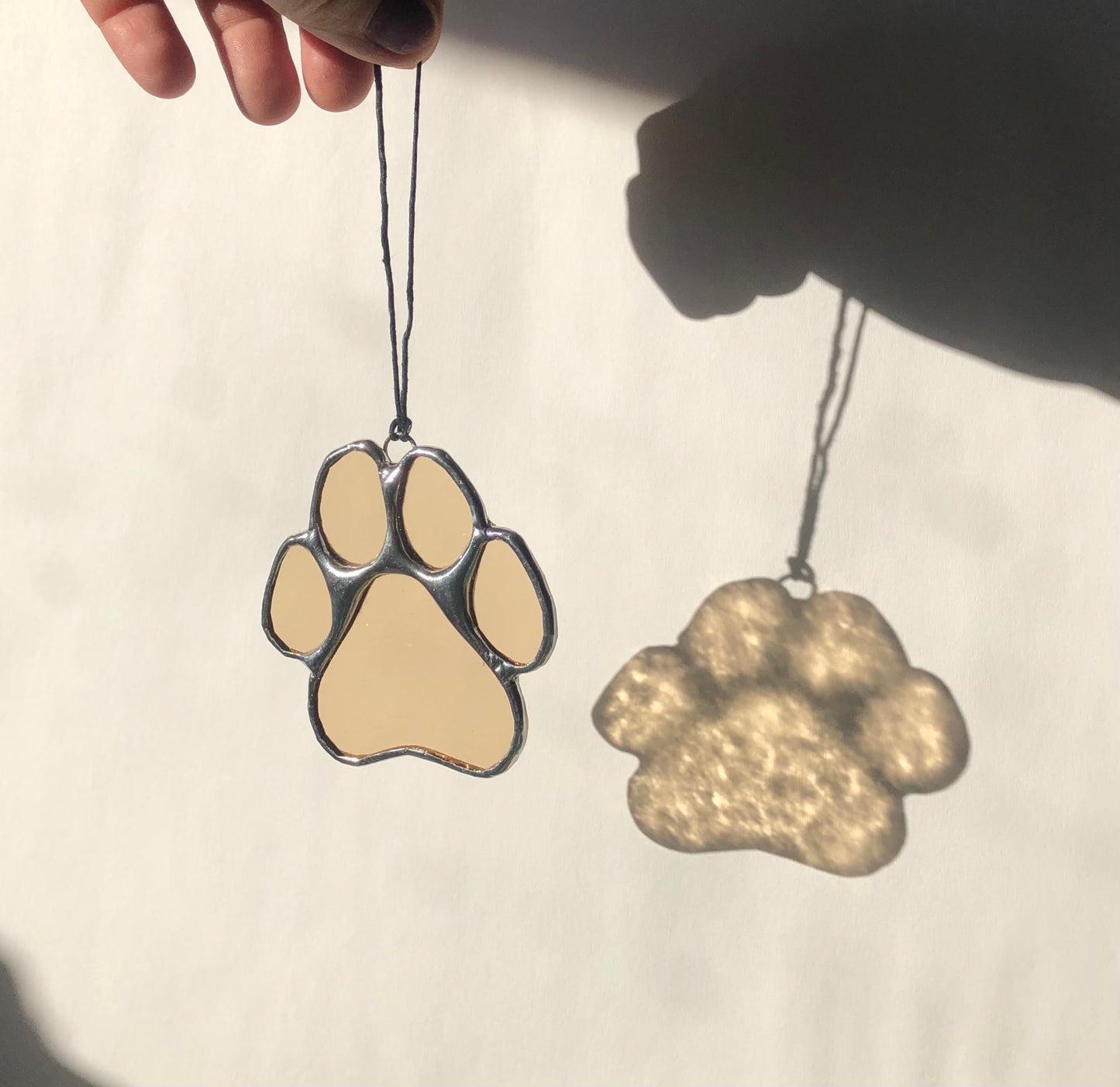 Paws for Teddy / PREORDER