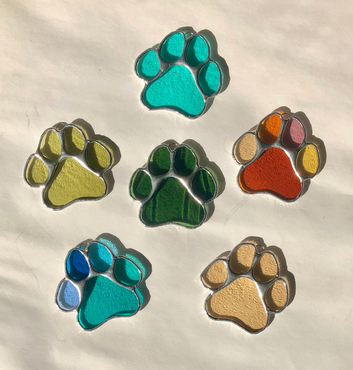 Paws for Teddy / PREORDER