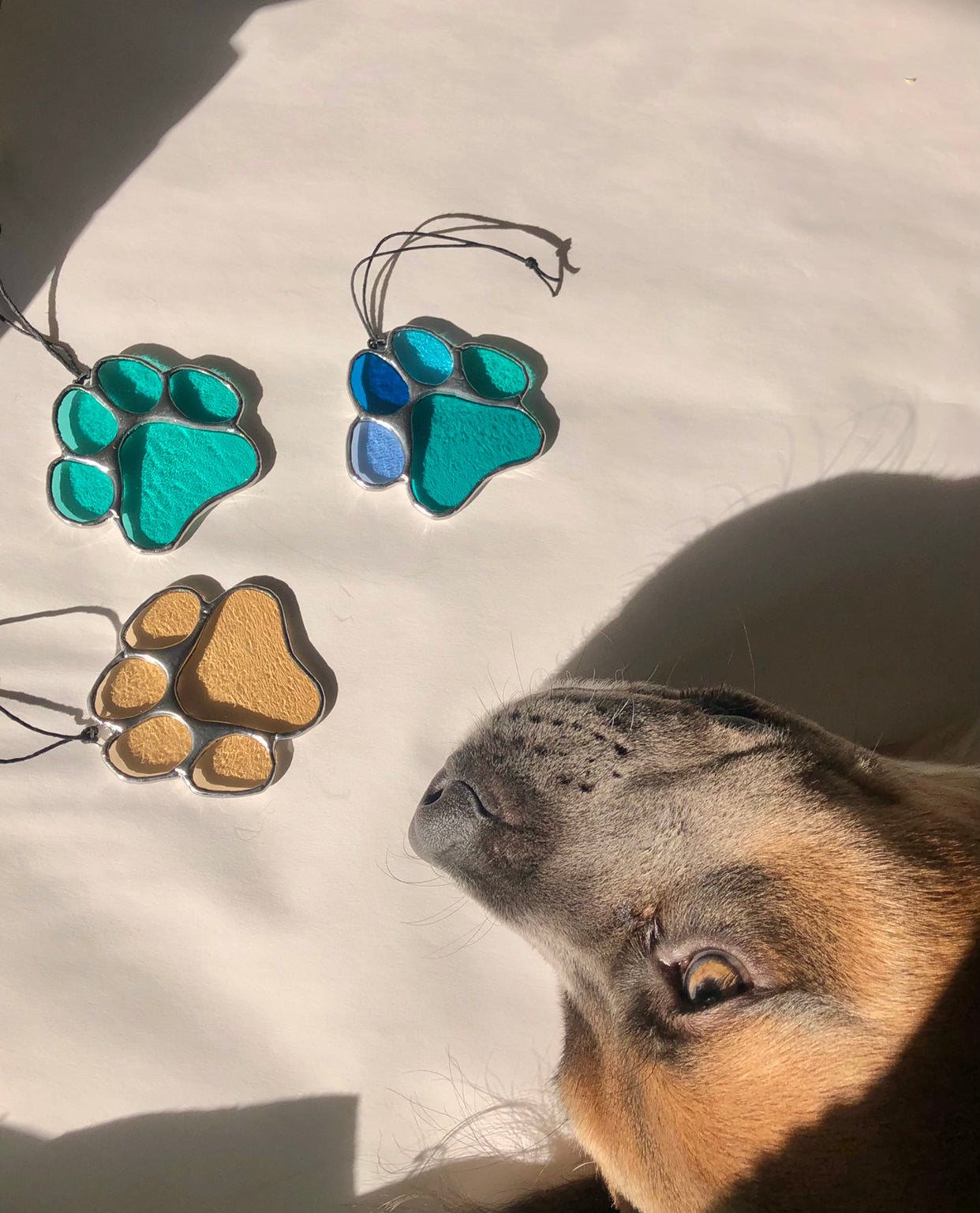 Paws for Teddy / PREORDER