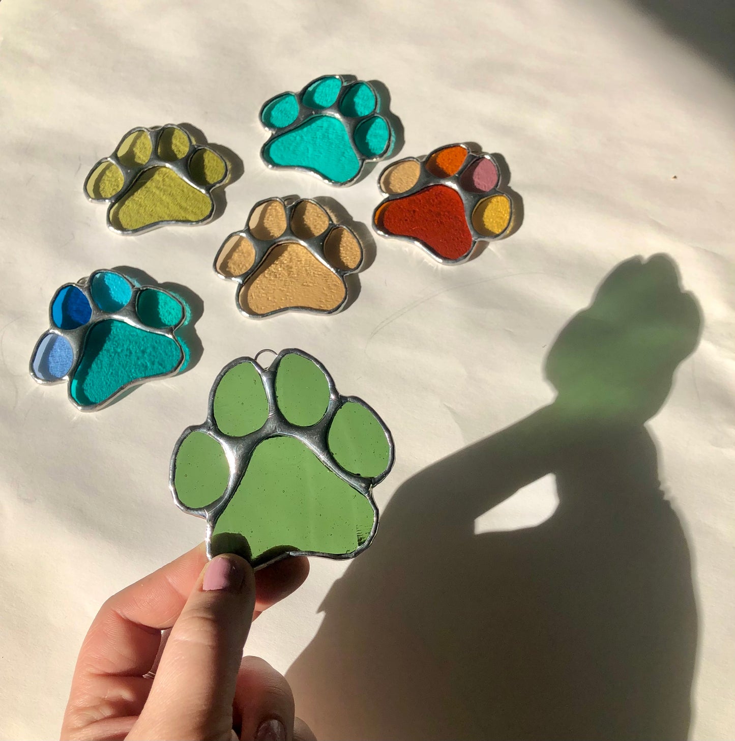 Paws for Teddy / PREORDER