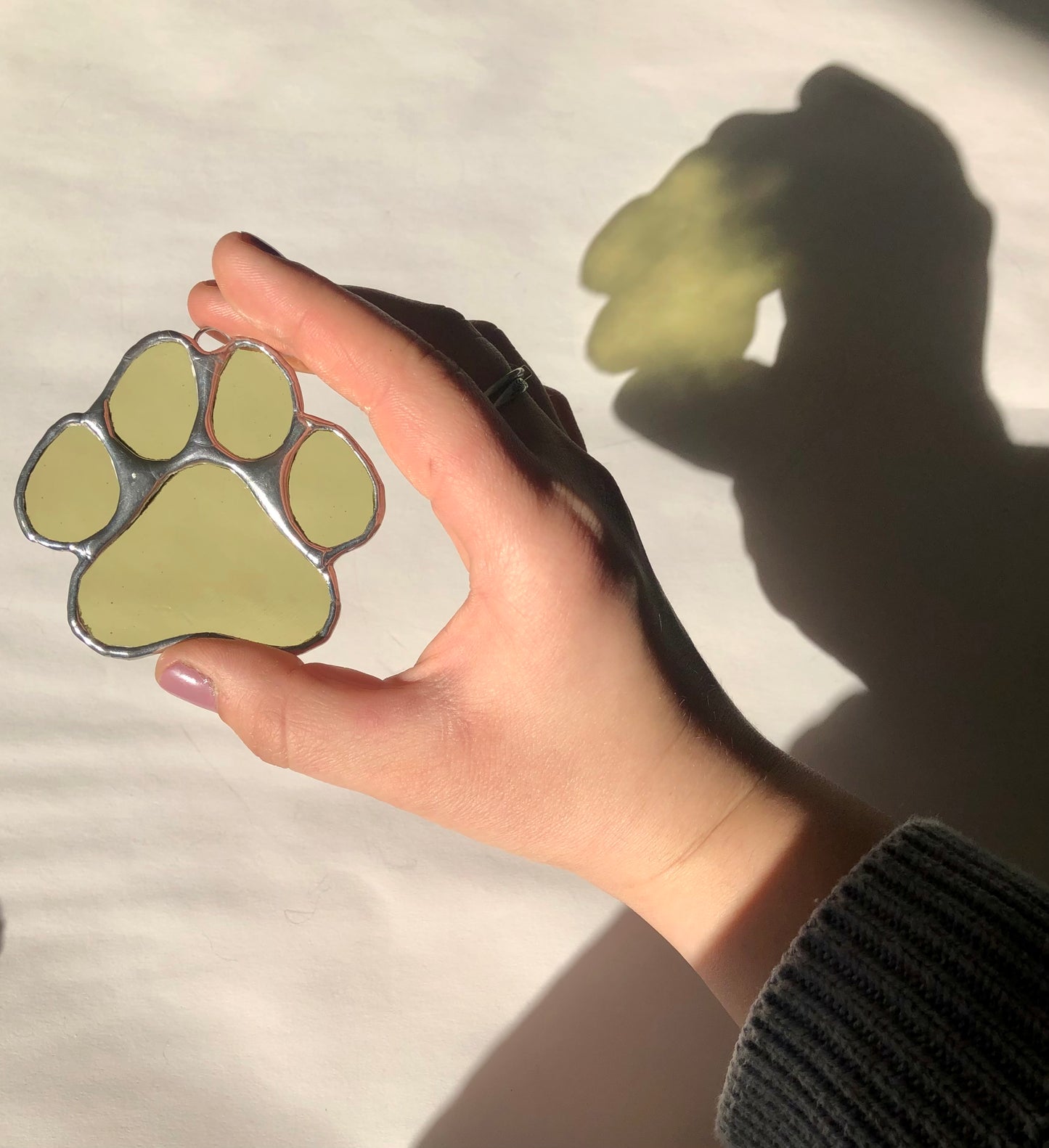 Paws for Teddy / PREORDER