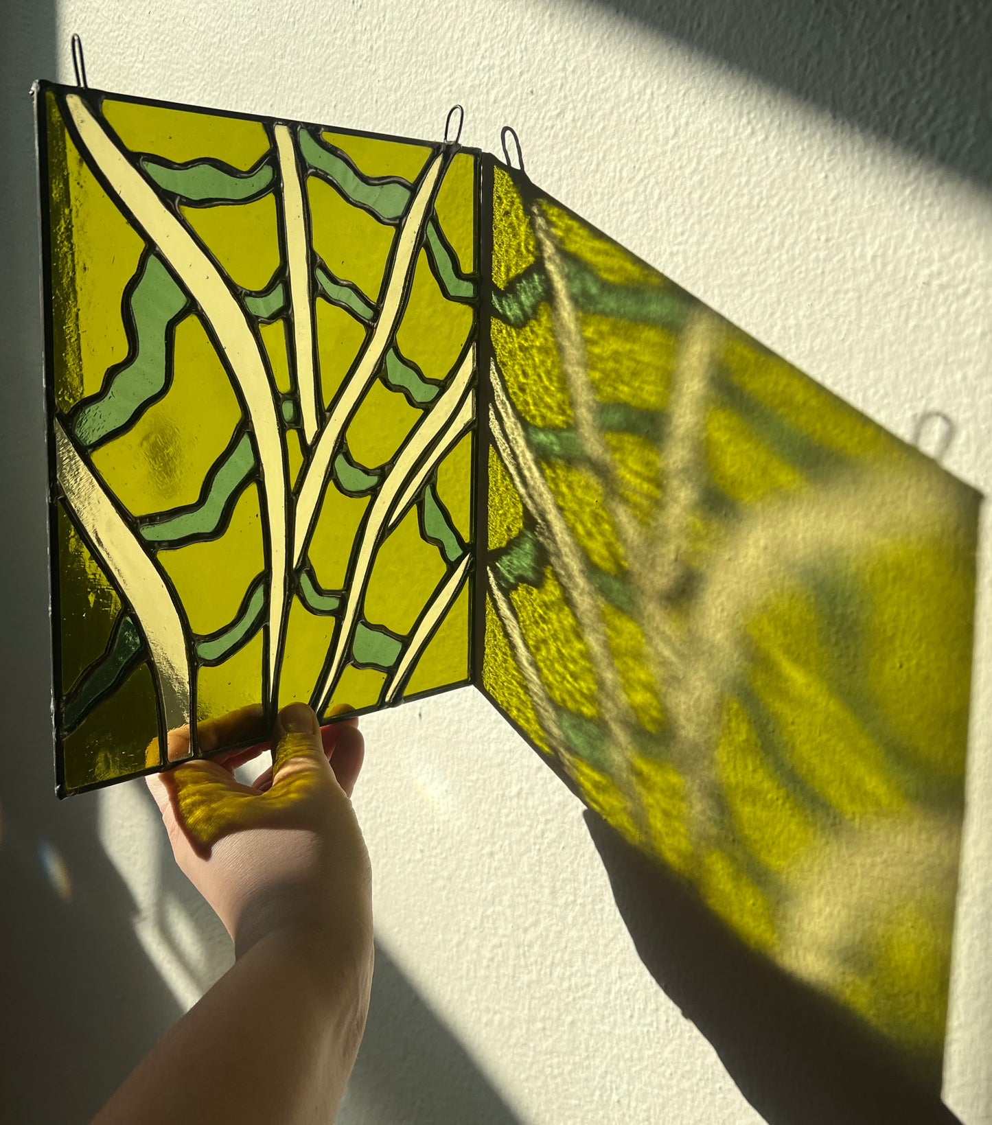 Snake Plant