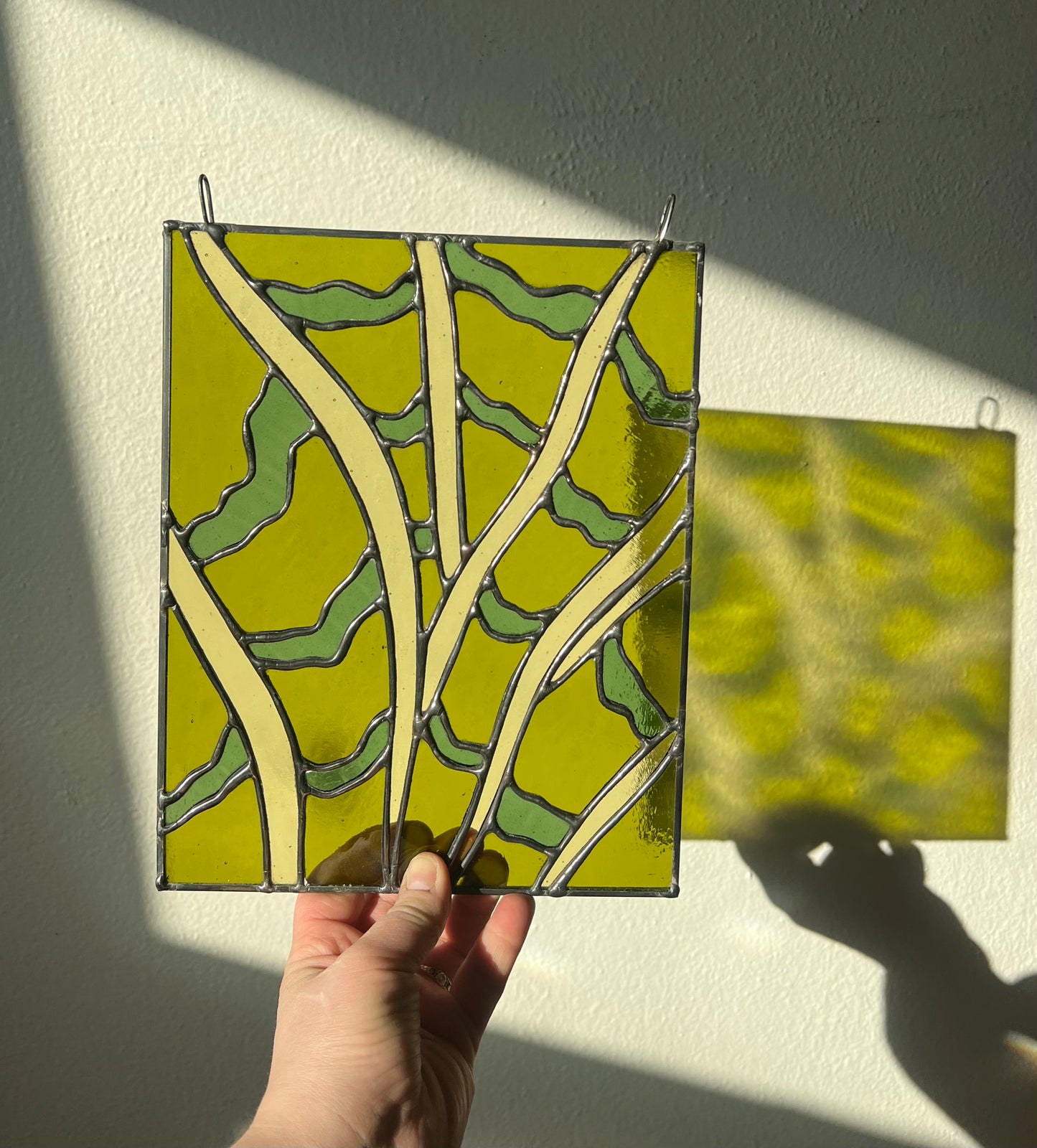 Snake Plant