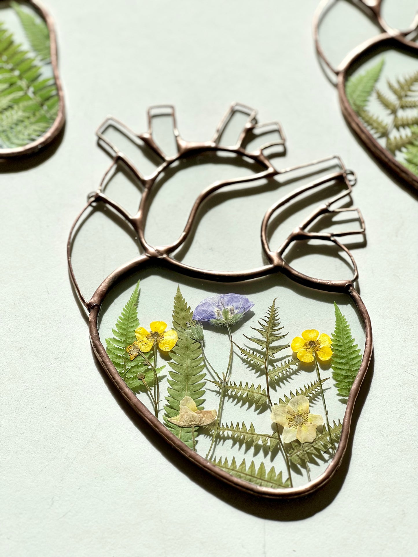 Botanical Anatomical Heart - Large