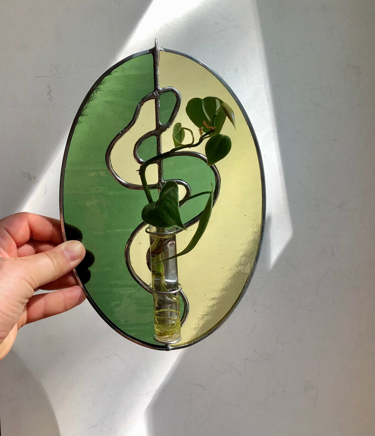 Snake Suncatcher + Propagation Station