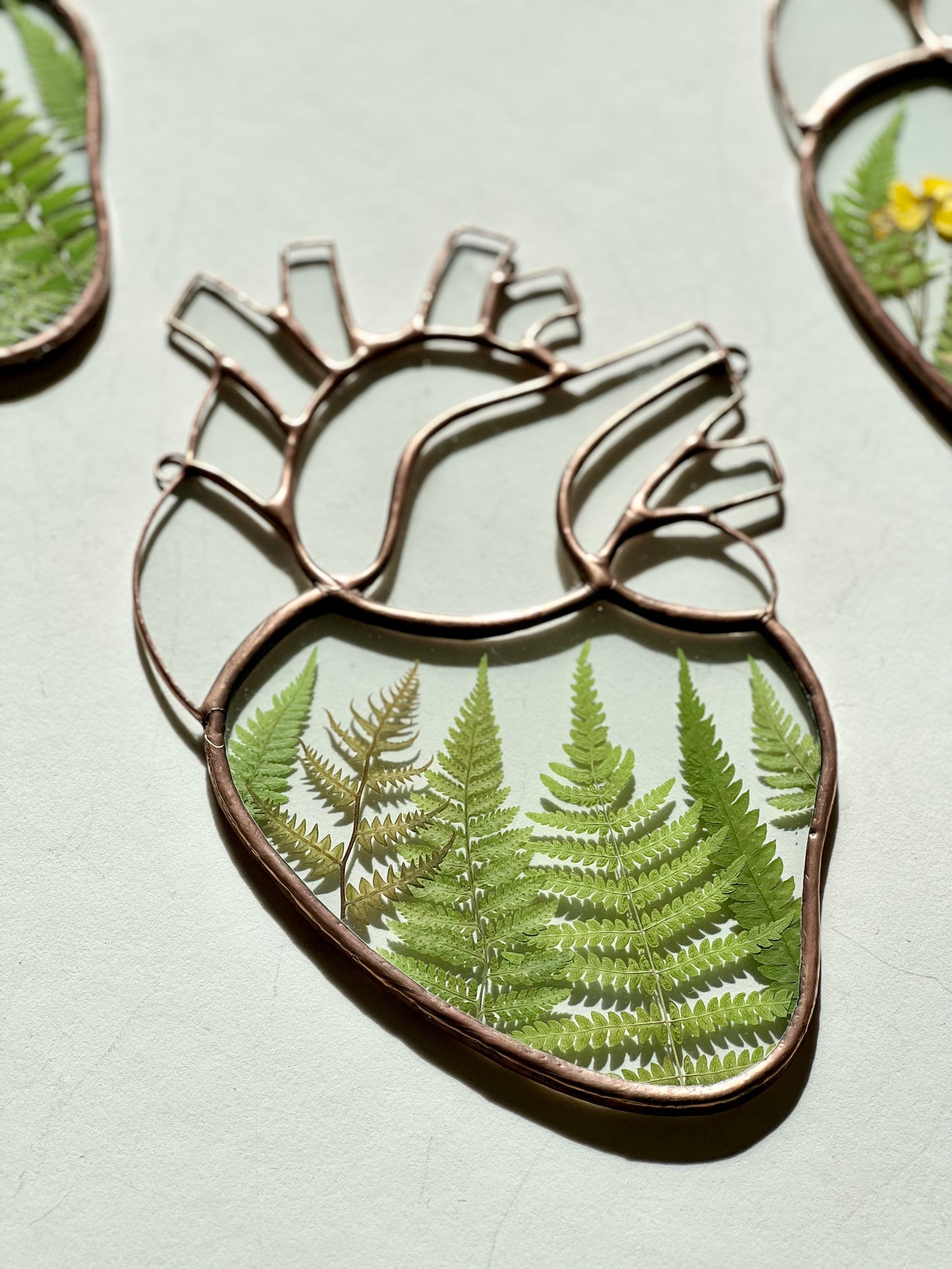 Botanical Anatomical Heart - Large