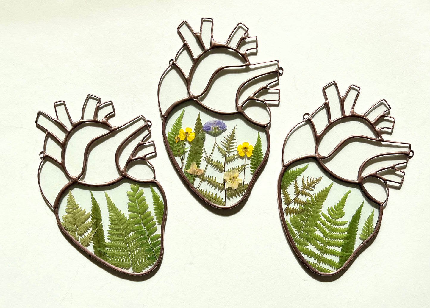 Botanical Anatomical Heart - Large