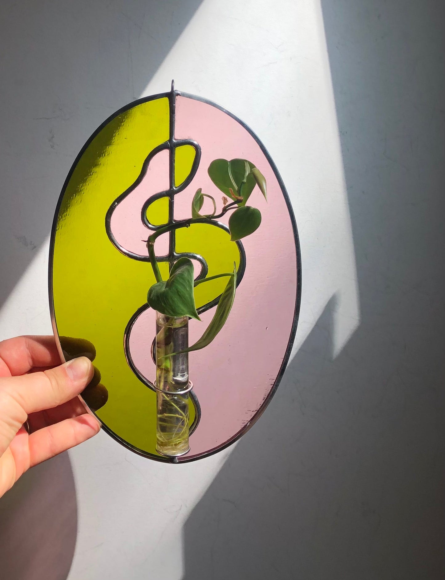 Snake Suncatcher + Propagation Station