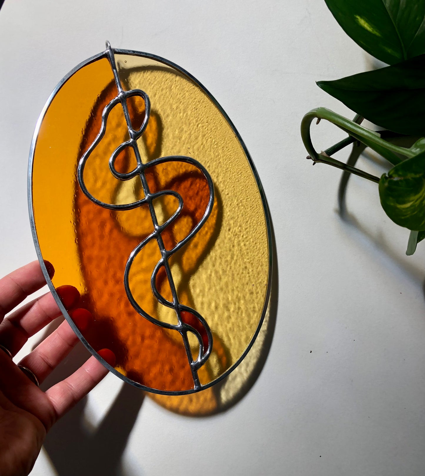Snake Suncatcher + Propagation Station