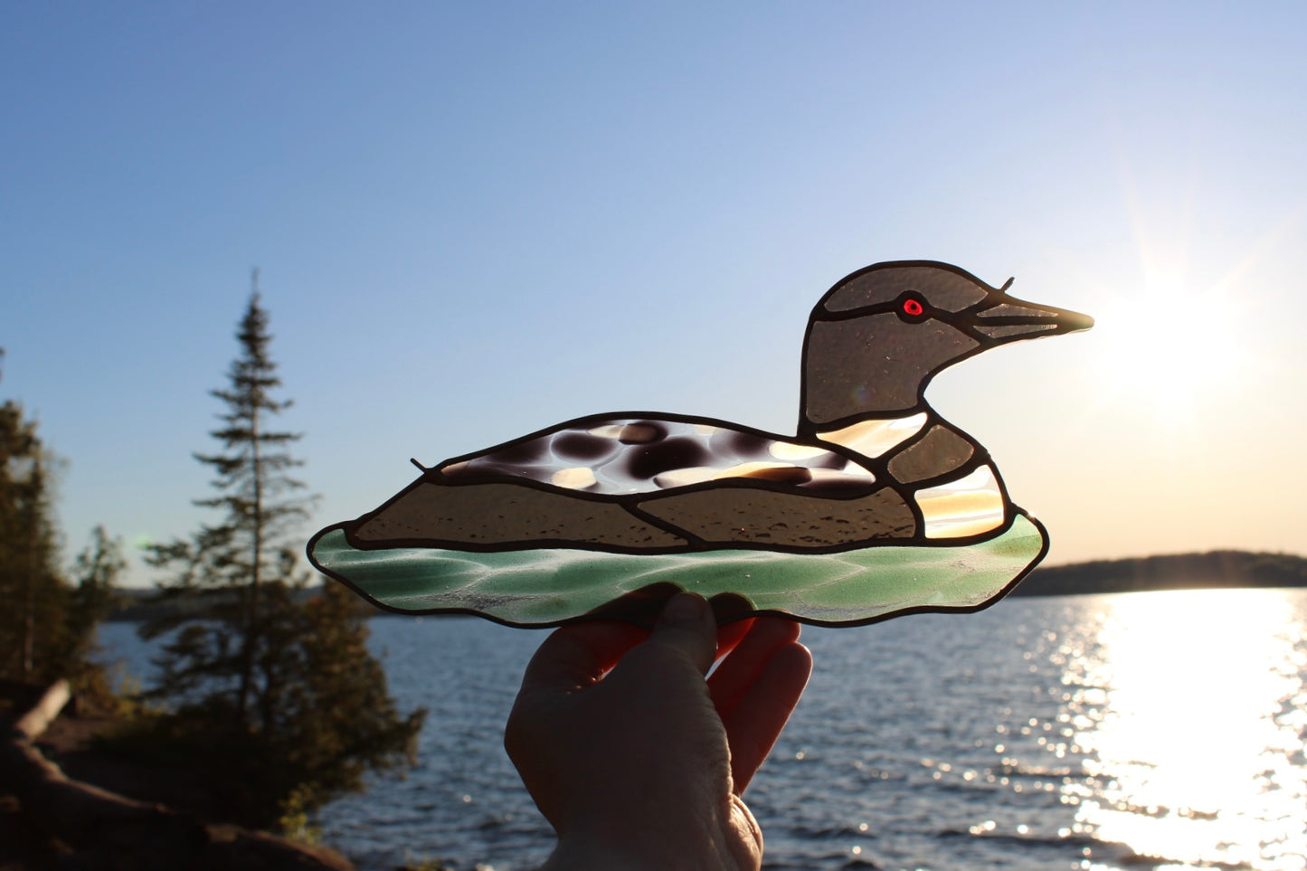 Speckled Loon / PREORDER